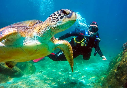 Mergulho em Angra dos Reis