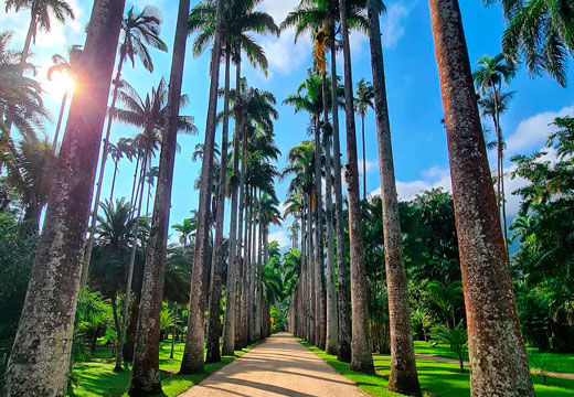 Tour Jardim Botânico