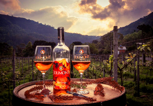 Ingresso Vinícola Jolimont com Degustação de vinho + Presente  Especial