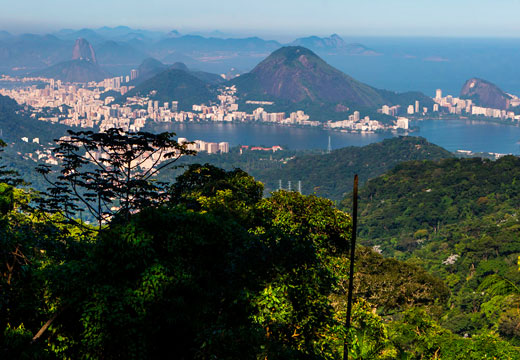Passeio de Jeep na Floresta da Tijuca